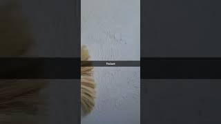 Celebrity crows foot wall texture Profile