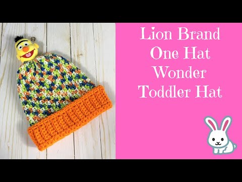 Sesame Street™ One Hat Wonder 