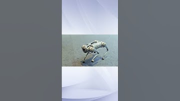 Robots are Stealing the Show!