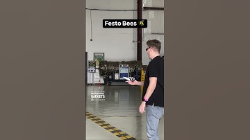 Deze robotbijen opereren in zwermen