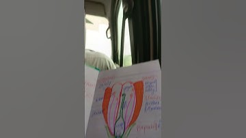 parts of flowers 💐🌹 #interview #lecturer #spsc #botany