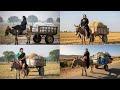 Fat Women Riding A Donkey سيدة تركب الحمار Fat Women Riding A Donkey سيدة تركب الحمار