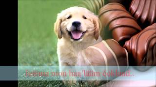 Download Lagu The Rosttovkaʹlndar, 8. luŋkk - Muu Rosttovǩiâŋkklistt MP3 Download Lagu The Rosttovkaʹlndar, 8. luŋkk - Muu Rosttovǩiâŋkklistt MP3