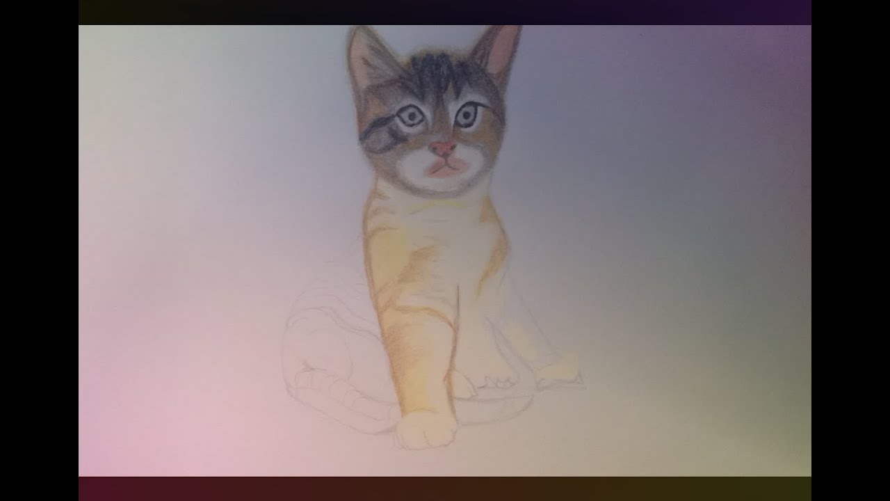 #6 Speed Drawing: A Cat! (Catnic's) simple drawings to copy