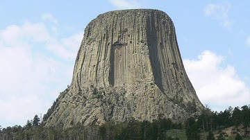 Could Basalt Structures Really Be GIANT TREE Stumps?