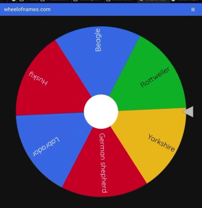 What is the best dog?