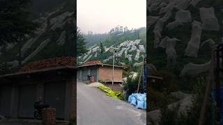 siraj valley memory ❤️‍🩹🫰