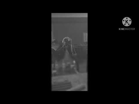 قصيدة يمه منصور الدخيل