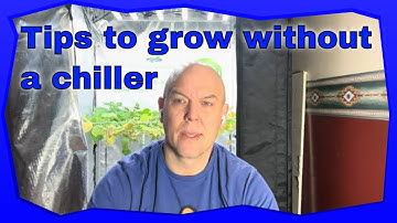 Nutrient Solution Temp