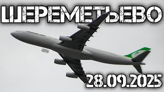 картинка: Споттинг в Шереметьево 28.09.2025