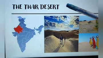 class 4 block 11 social science s1