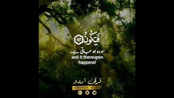 🍀إنما أمره إذا أراد شيئا🍀 سورة يس:٨٢|طارق محمد|Surah Ya Seen:82|Tareq Mohammed