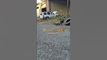 🌼🔆#algorithm #preppyoreo #blowup #skincare