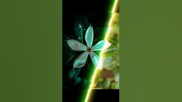 flower photo editing tutorial video!#short#viral#shorts#flowers#photoediting