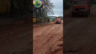 1113 boiadeiro #kenworth #scania #truckdriver #truck #caminhão #lkw #peterbilt  #tatatruck #camion