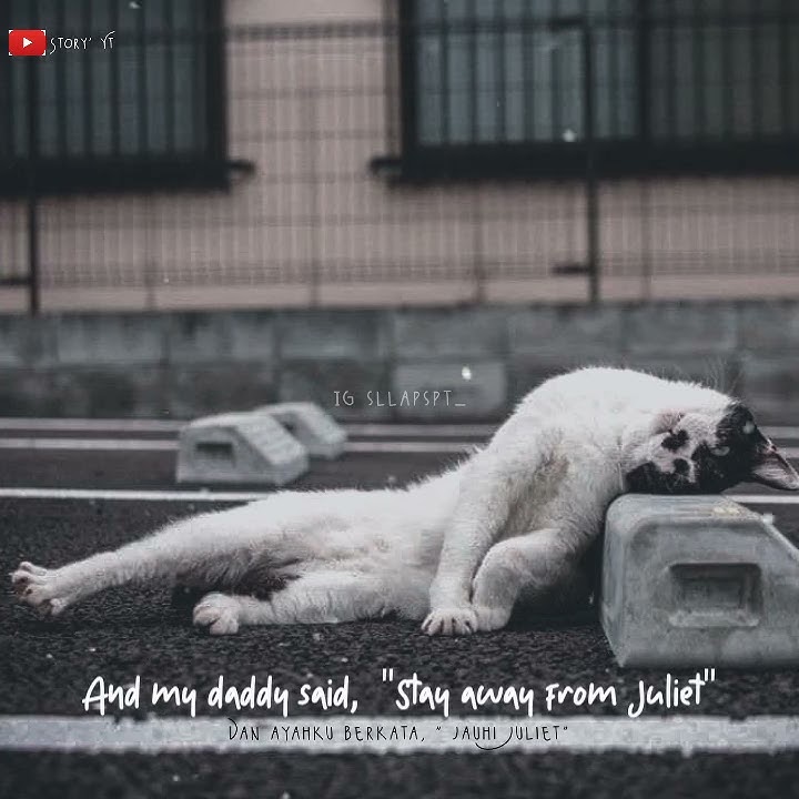 Story'WA (Gustixa Love Story' lyrics ft. Lyn lapid) Animasi teks selow enak di dengar 🤪