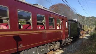 2019.11.16(土)14:05 秩父鉄道 SLうどんサミット号【三峰口から三つ目の踏切】