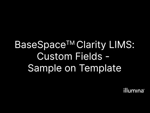 Custom Fields – Sample on Template
