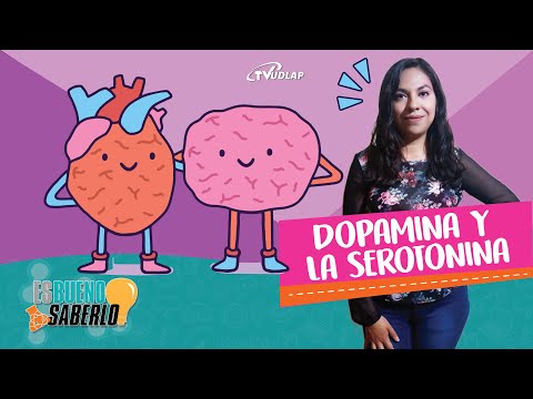 Vídeo: Diferencia Entre Dopamina Y Serotonina