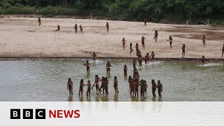 Download Lagu 'Brothers in the forest' - the fight to protect an isolated Amazon tribe | BBC News MP3 Download Lagu 'Brothers in the forest' - the fight to protect an isolated Amazon tribe | BBC News MP3