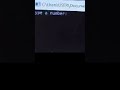 C++ programming user input