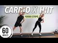 1 Hour Cardio HIIT Workout At Home 10000 Steps For Fat Burn No Equipment 1 Hour Cardio HIIT Workout At Home 10000 Steps For Fat Burn No Equipment