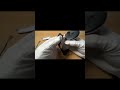 Meta Quest 3/3S Replacement of wrist straps for Meta Quest Active Straps #shorts