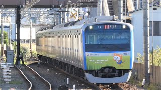 相模鉄道　11000系 04編成　そうにゃんトレイン　二俣川駅