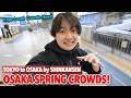 Chaotic Spring Crowds in Dotonbori! Tokyo to Osaka by Shinkansen. Black Ramen & Local Snack Ep.631