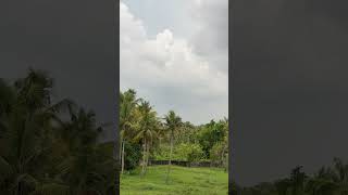 #mausam #shortsyoutube #badal #song #bollywood #love #trendingshorts #musicvideo #nature