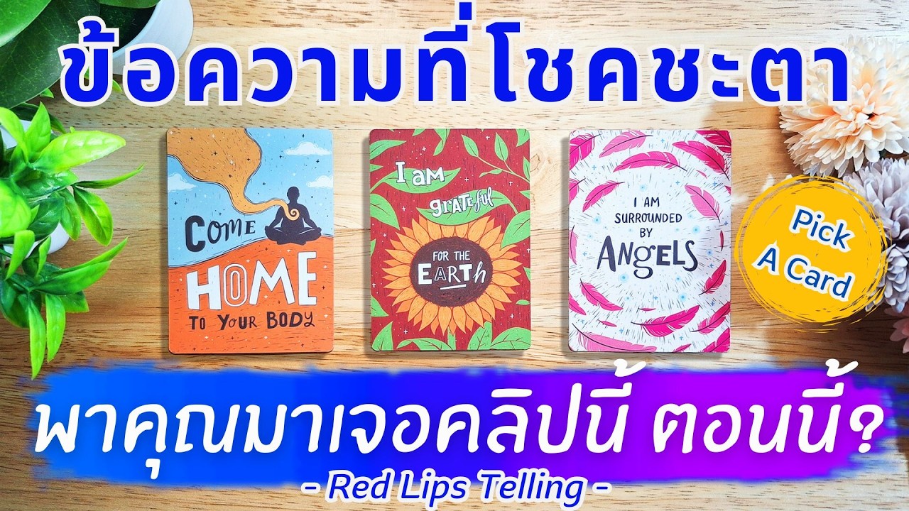 Pick A Card : ข้อความที่โชคชะตา พาคุณมาเจอคลิปนี้ ตอนนี้? [ Timeless ]