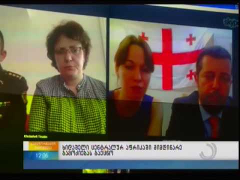 ხიდაშელი ცენტრალურ აფრიკაში მიმდინარე გამოძიებას გაეცნო