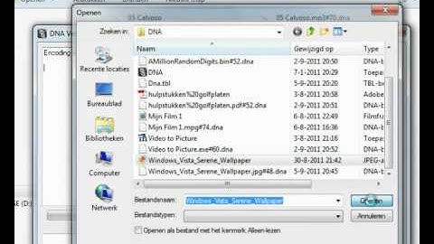 Demo DNA Algorithm v2.4ß (UK)