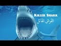فيلم ماين كرافت هوليود - القرش القاتل | Shark Killer
