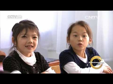 По шелковому пути（Серия 8）—одни корни