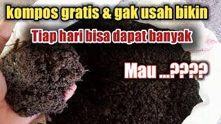 Rahasia mendapatkan kompos super tanpa harus repot repot bikin