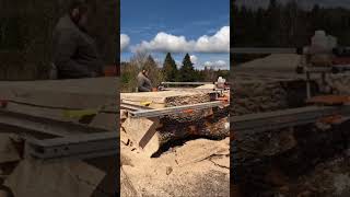 Slabig a big ash log with ms881 and 84” bar