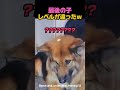 この子だけ別格だった