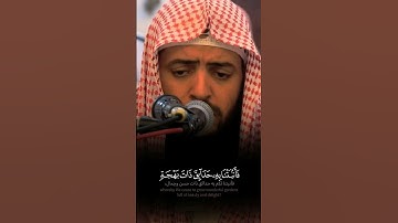 تلاوة خاشعة مترنمة بصوت فضيلة الشيخ وديع اليمني من سورة النمل 🤍🍃