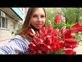 vlog 🌱Дарят тюльпаны ведрами / Бургер ПО-ДОМАШНЕМУ / день рождения кота