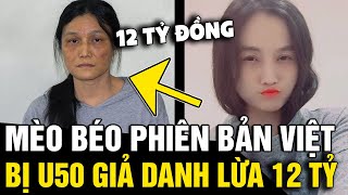 Xuất hiện 'MÈO BÉO' bản siêu cấp ở VIỆT NAM, bị U50 giả gái xinh lừa '12 TỶ ĐỒNG' | Tin Nhanh 3 Phút