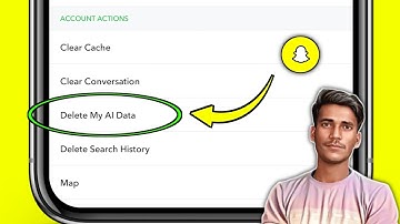 What is the meaning of Delete my AI data | Snapchat delete my AI data