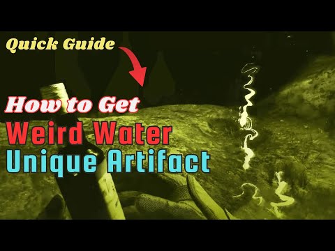 STALKER 2 Weird