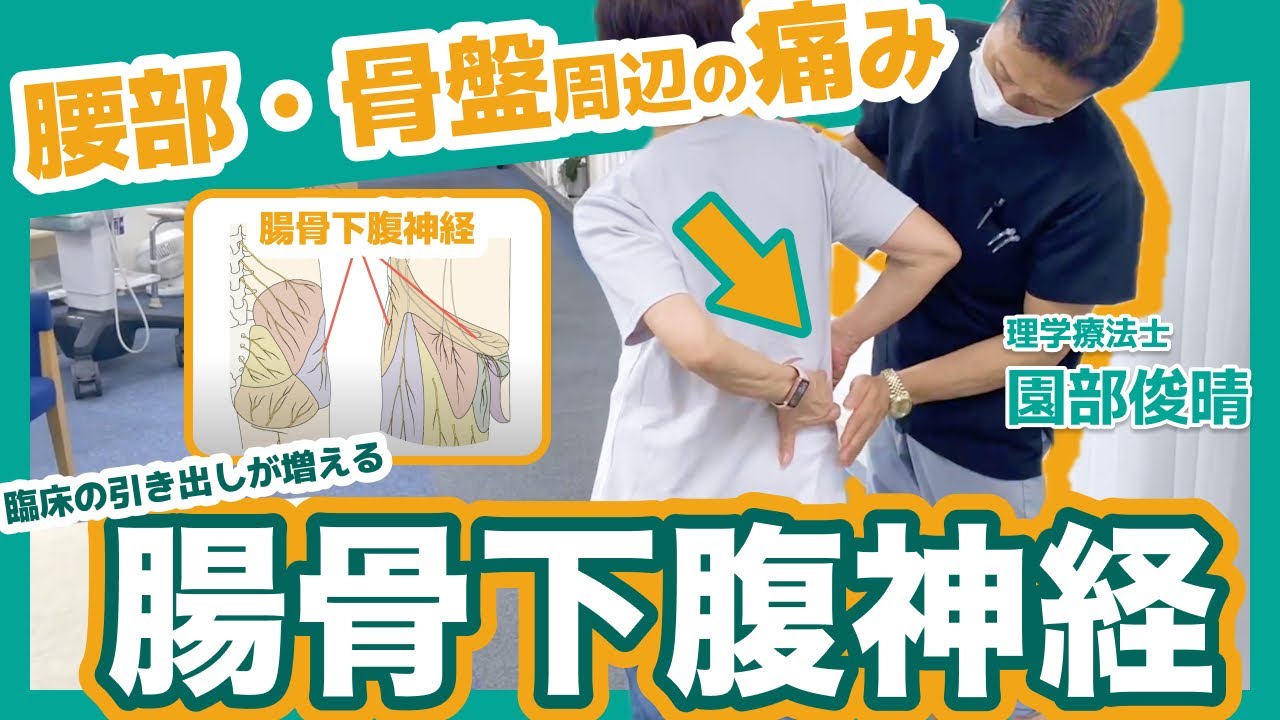 【神経】腰から骨盤の痛みに、腸骨下腹神経の臨床