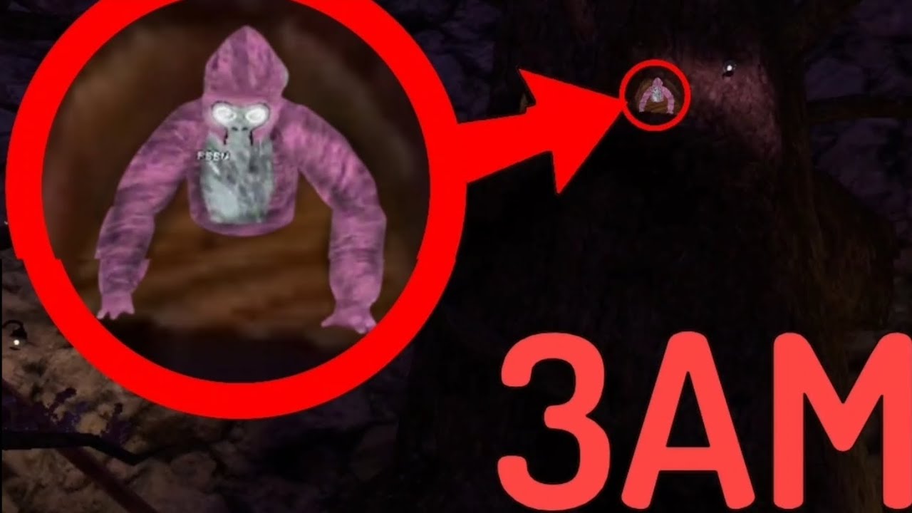 maxresdefault.jpg
