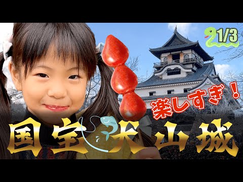 【七宗遊園と犬山城】オススメの地元観光地を紹介します