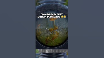 Dead side is not that good #ilovemygf #nonvgs #console #DayZ #gaming #xbox #fyp #pc #rust #deadside