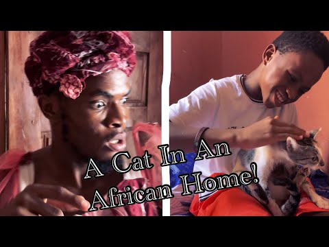 IAMDIKEH - AMERICAN VS AFRICAN MOTHERS WHEN A CAT MEOW WAKES THEM UP FROM SLEEP 🤣🤣🤣