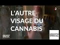 Envoyé spécial. L'autre visage du cannabis - 28 février 2019 (France 2)