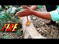 how to make  fire with tricks|लकड़ी से आग कैसे बनाएं| How to build a fire - with or without matches